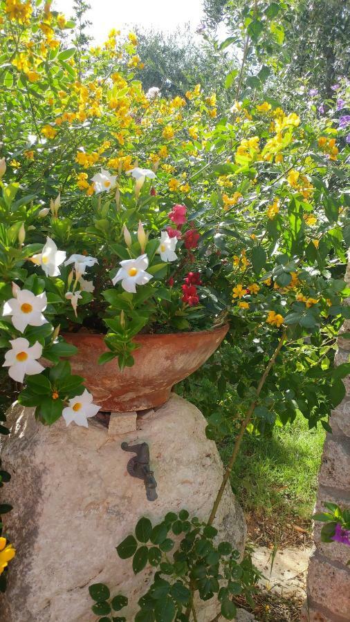 ماتيناتا Villa Macchione المظهر الخارجي الصورة